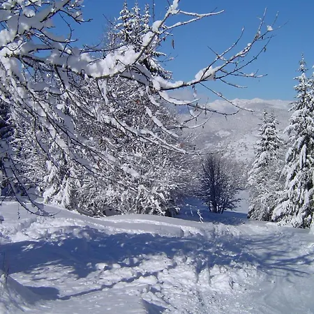 Des Alpes Hotel 2*