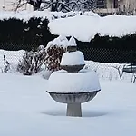 Отель Des Alpes Брид-Ле-Бэн