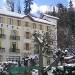 Отель Des Alpes 2*
