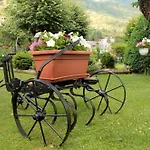 Des Alpes Отель