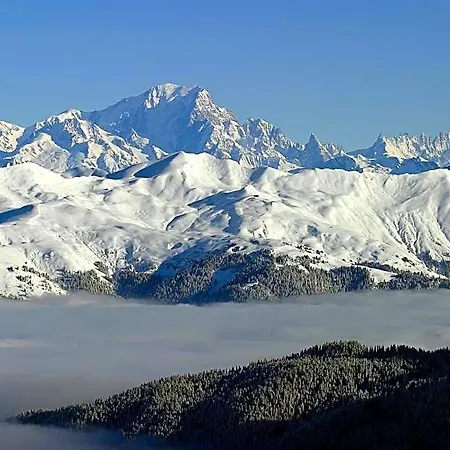 Hotel Des Alpes 2*