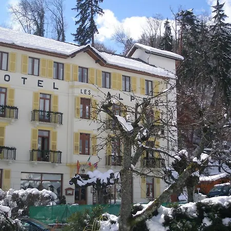 Hotel Des Alpes 2*